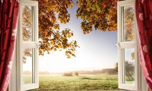 French-Window